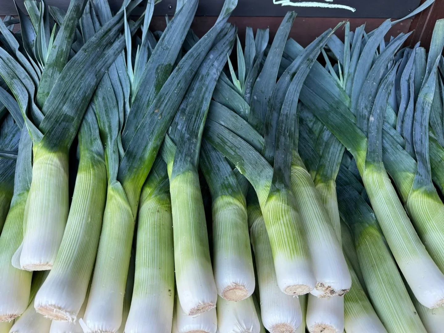 Fresh leeks