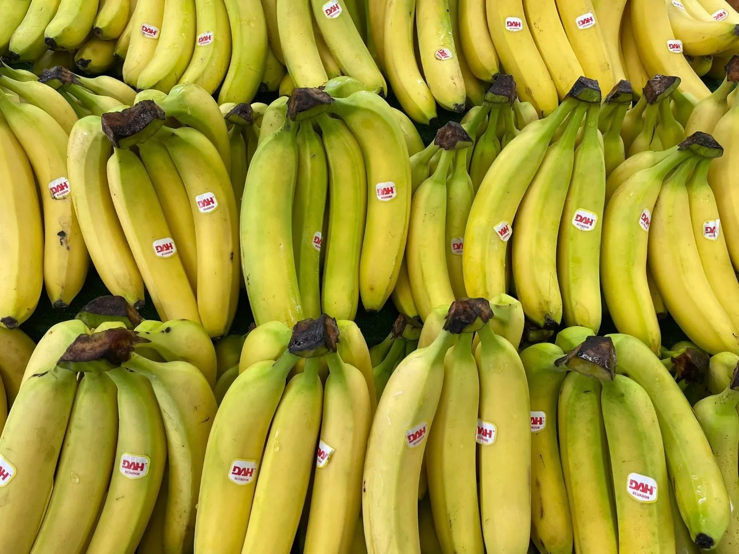 Fresh bananas