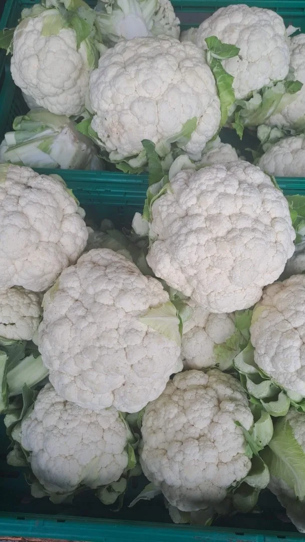Fresh cauliflower