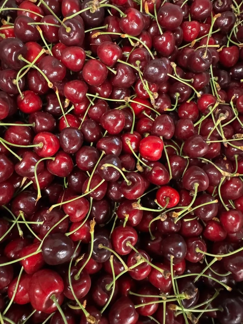 Fresh ripe cherries