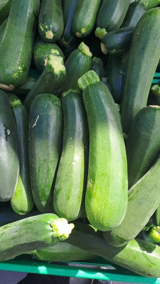 Fresh courgettes