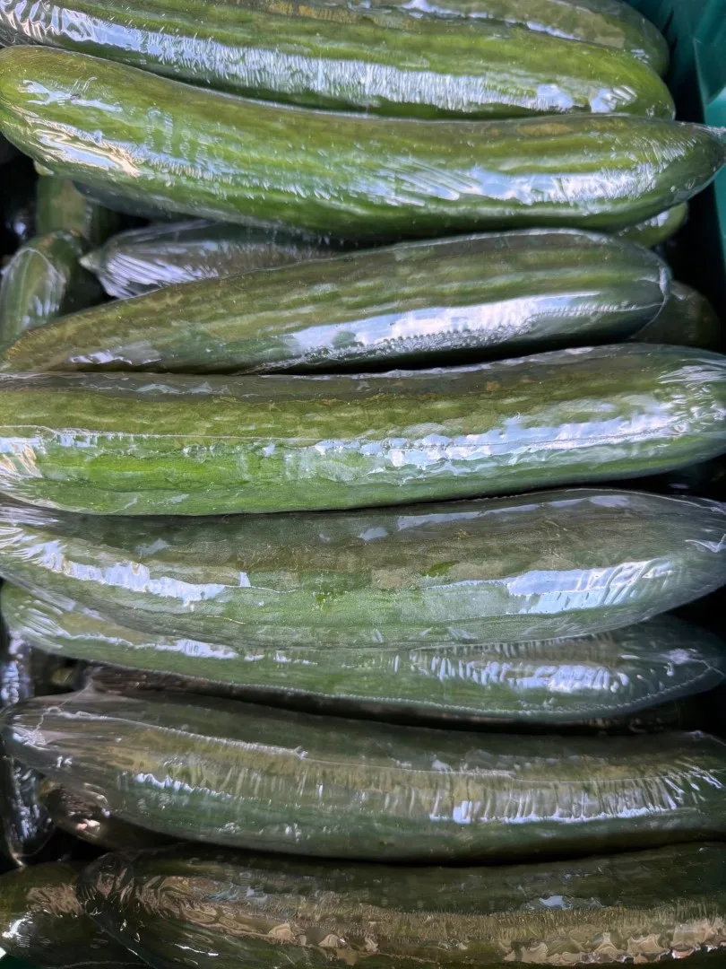 Fresh cucumber