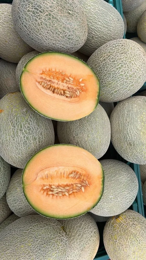 Fresh rockmelon