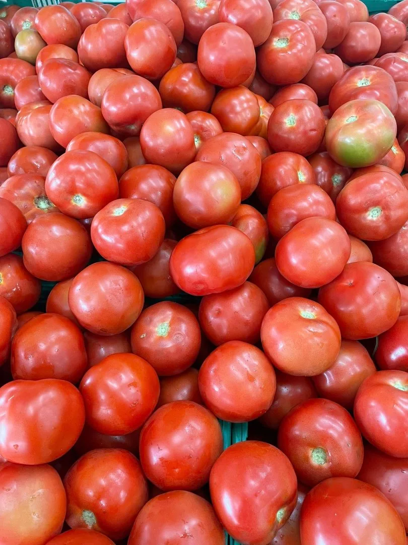 Fresh ripe tomatoes