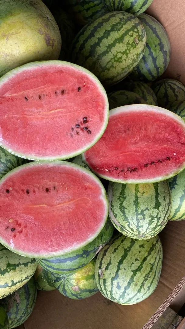 Fresh watermelon
